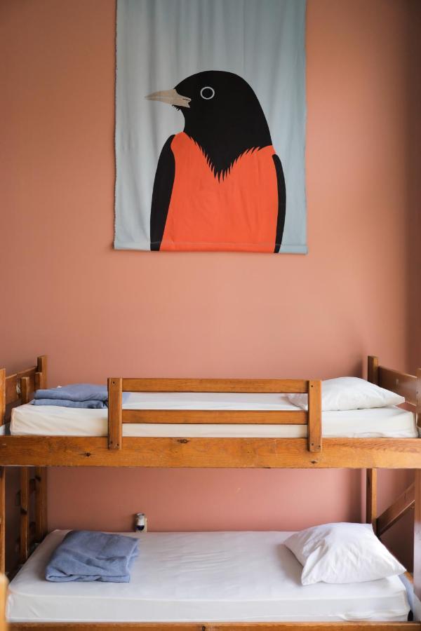 Hostel Buffalo-Niagara Buitenkant foto